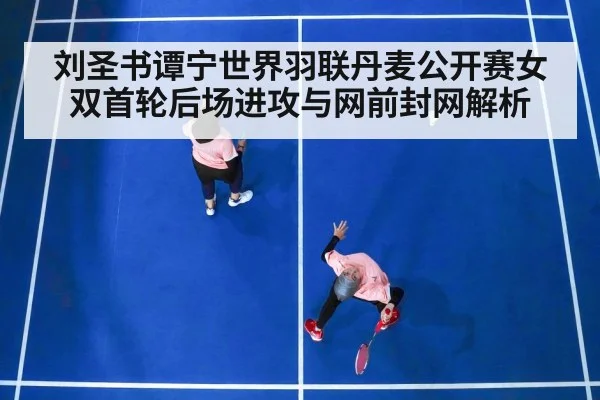 刘圣书谭宁世界羽联丹麦公开赛女双首轮后场进攻与网前封网解析